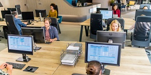 employees sitting at their desks